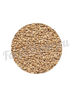 Солод пшеничный Wheat malt (1 кг.) Курский солод - фото 20072